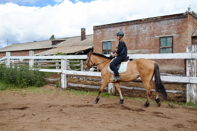 Paard trainen